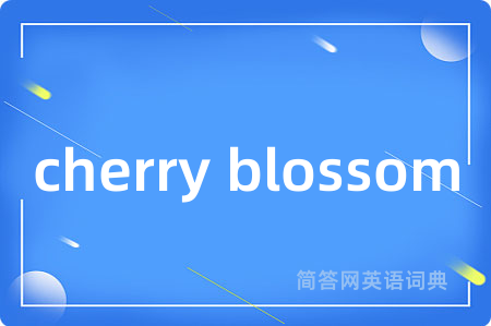 cherry blossom