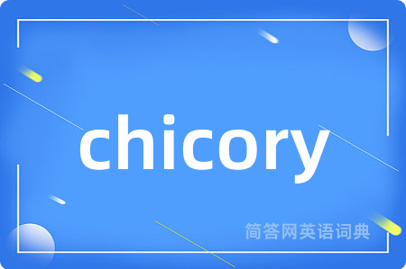 chicory