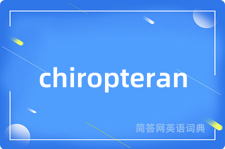 chiropteran