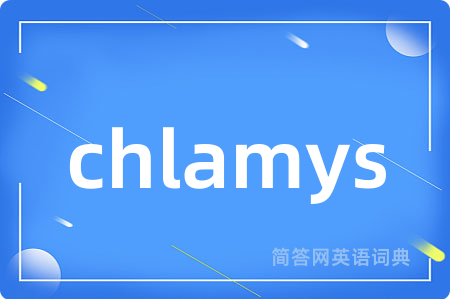 chlamys是什么意思,chlamys的中文翻译 chlamys