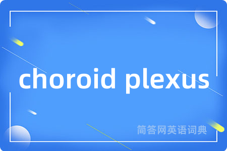 choroid plexus