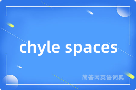 chyle spaces是什么意思,chyle spaces的中文翻译 chyle spaces