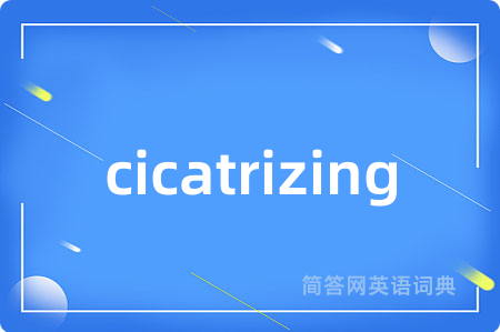 cicatrizing是什么意思,cicatrizing的中文翻译 cicatrizing