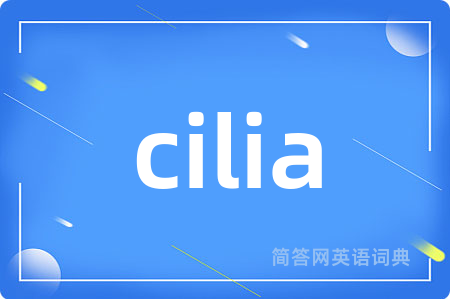 cilia是什么意思,cilia的中文翻译 cilia