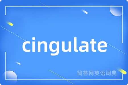 cingulate