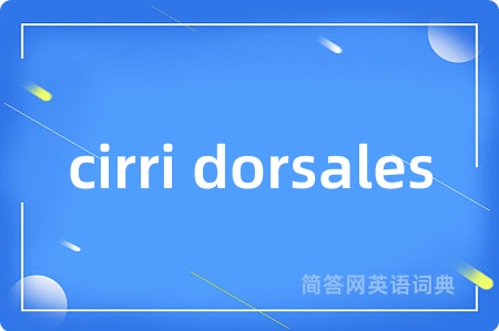 cirri dorsales是什么意思,cirri dorsales的中文翻译 cirri dorsales