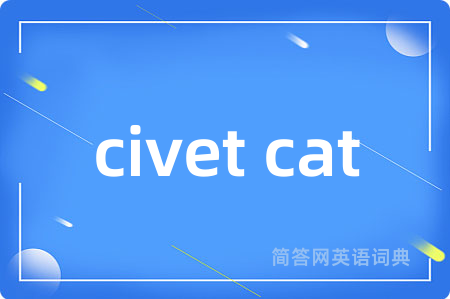civet cat