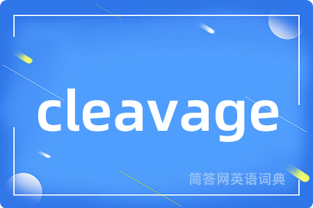 cleavage是什么意思,cleavage的中文翻译 cleavage