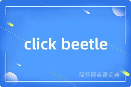 click beetle