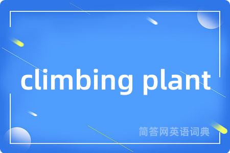 climbing plant