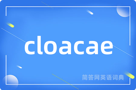 cloacae是什么意思,cloacae的中文翻译 cloacae