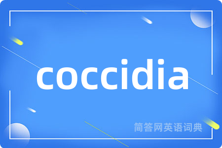 coccidia是什么意思,coccidia的中文翻译 coccidia