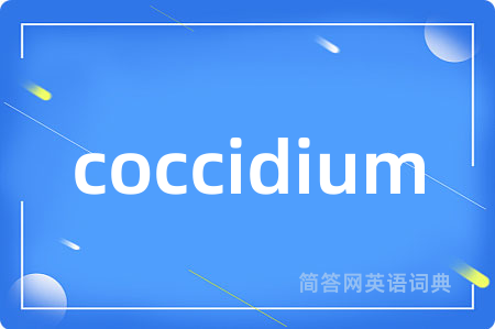 coccidium
