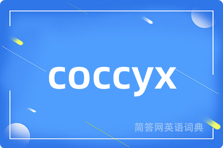 coccyx是什么意思,coccyx的中文翻译 coccyx