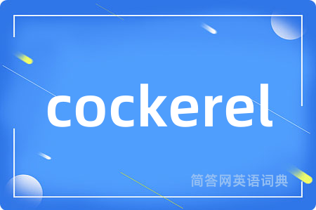 cockerel是什么意思,cockerel的中文翻译 cockerel