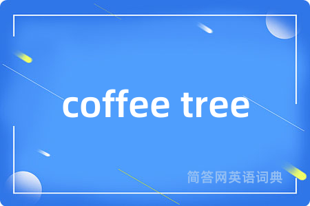 coffee tree