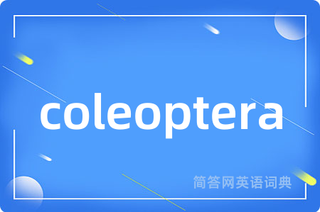coleoptera