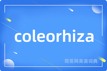 coleorhiza