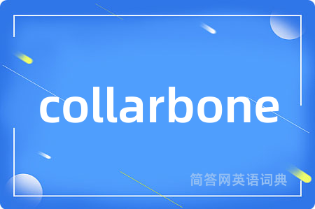 collarbone是什么意思,collarbone的中文翻译 collarbone