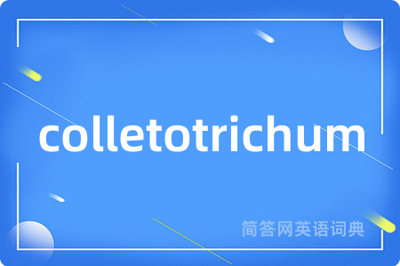 colletotrichum是什么意思,colletotrichum的中文翻译 colletotrichum