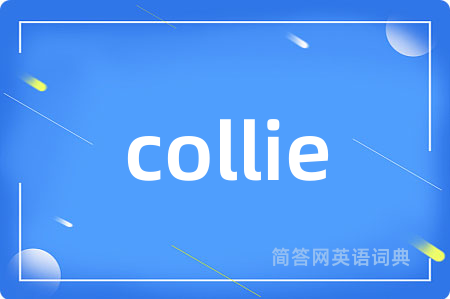 collie是什么意思,collie的中文翻译 collie