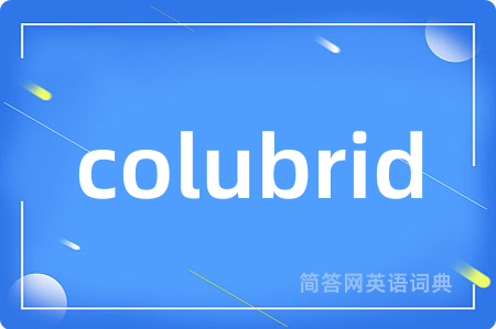 colubrid