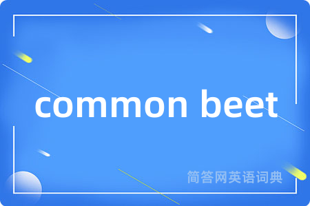 common beet