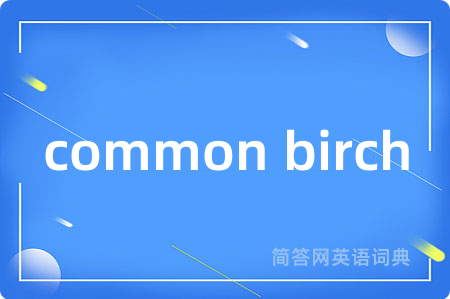 common birch