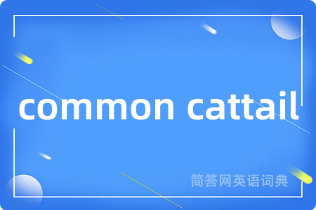 common cattail