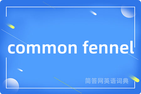 common fennel是什么意思,common fennel的中文翻译 common fennel