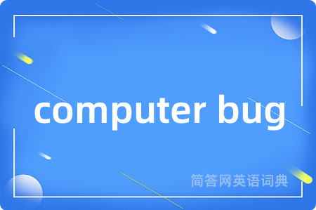 computer bug
