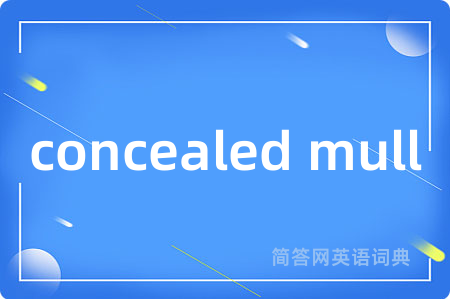 concealed mull是什么意思,concealed mull的中文翻译 concealed mull