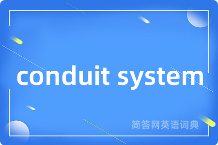 conduit system是什么意思,conduit system的中文翻译 conduit system