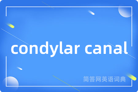 condylar canal是什么意思,condylar canal的中文翻译 condylar canal