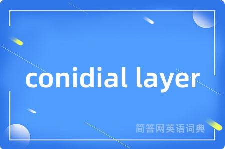 conidial layer