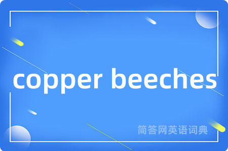 copper beeches