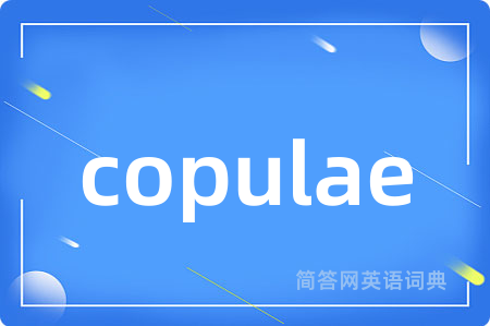 copulae是什么意思,copulae的中文翻译 copulae