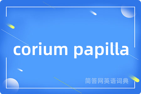 corium papilla