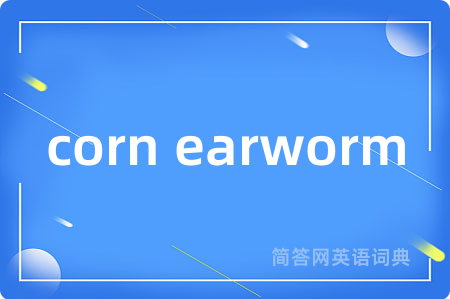 corn earworm