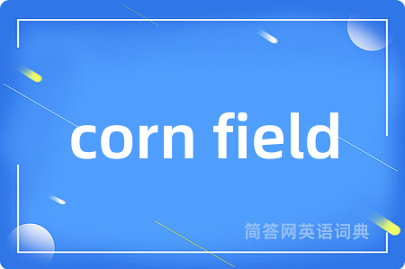 corn field