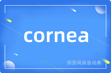 cornea