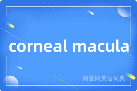 corneal macula是什么意思,corneal macula的中文翻译 corneal macula