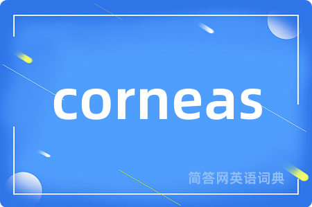 corneas