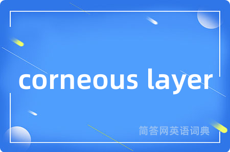 corneous layer是什么意思,corneous layer的中文翻译 corneous layer