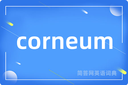 corneum是什么意思,corneum的中文翻译 corneum