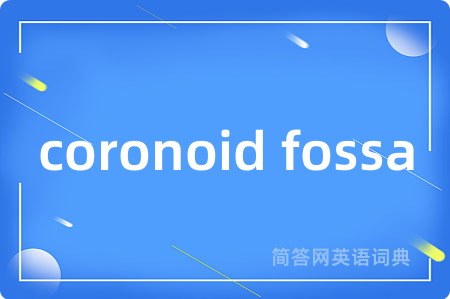 coronoid fossa