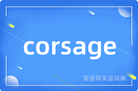 corsage是什么意思,corsage的中文翻译 corsage
