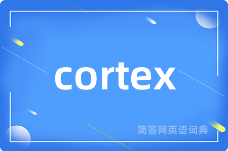 cortex