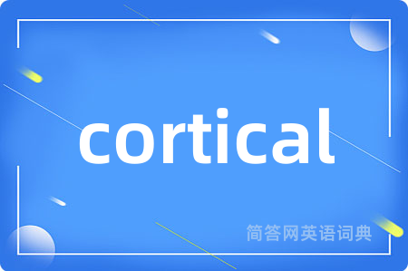cortical