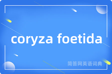 coryza foetida是什么意思,coryza foetida的中文翻译 coryza foetida